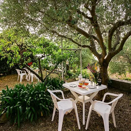 Eugenio Turizam Lejlighed Soline (Dalmatia)