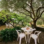 Eugenio Turizam Apartman Soline (Dalmatia)
